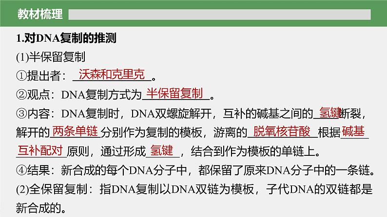第3章 第3节 DNA的复制第6页