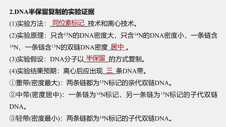 第3章 第3节 DNA的复制第7页