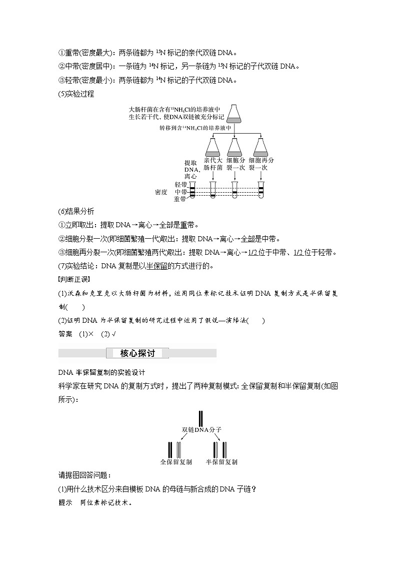 第3章 第3节 DNA的复制(讲义)第2页