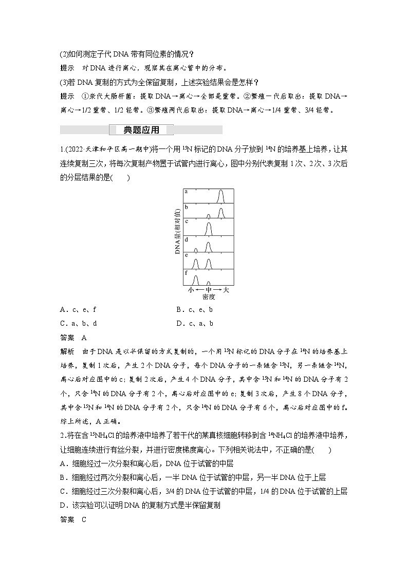 第3章 第3节 DNA的复制(讲义)第3页
