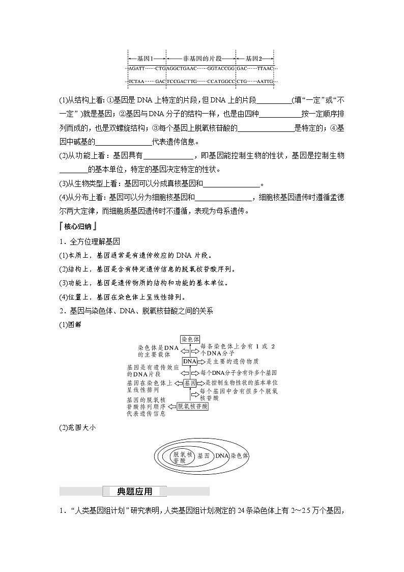 第3章 第4节 基因通常是有遗传效应的DNA片段(学习笔记)第2页