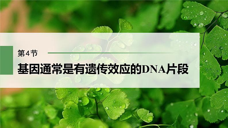 第3章 第4节 基因通常是有遗传效应的DNA片段第2页