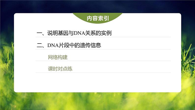 第3章 第4节 基因通常是有遗传效应的DNA片段第4页