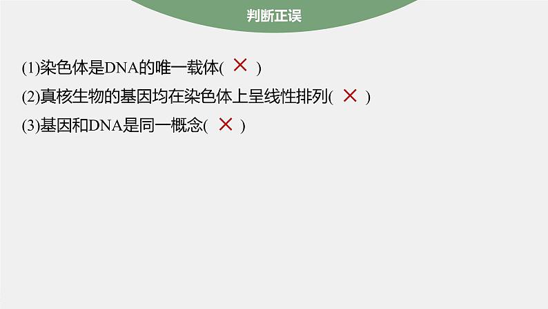 第3章 第4节 基因通常是有遗传效应的DNA片段第7页