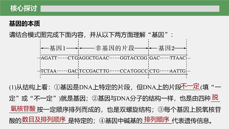 第3章 第4节 基因通常是有遗传效应的DNA片段第8页