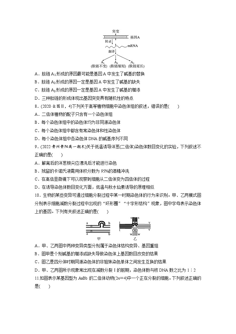 第5章 章末检测试卷(五)(练习)第3页