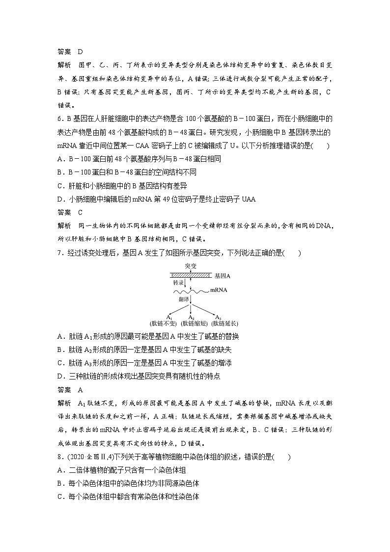 第5章 章末检测试卷(五)(讲义)第3页