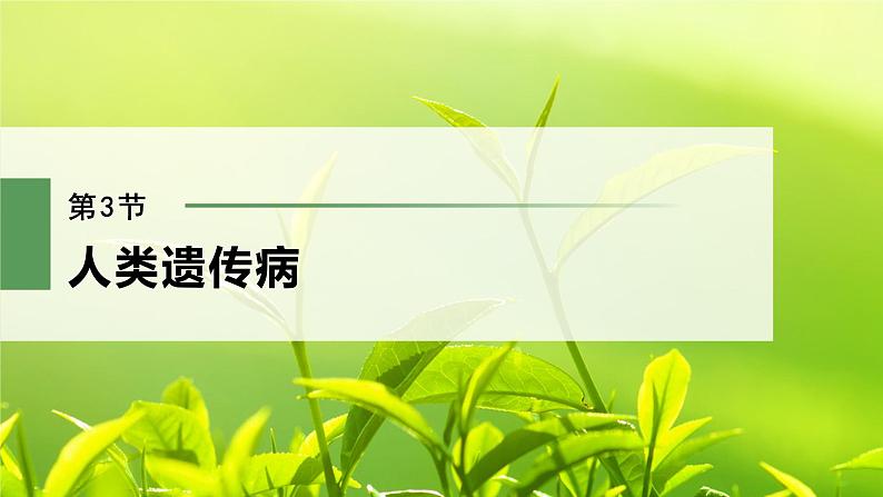 第5章 第3节 人类遗传病第2页