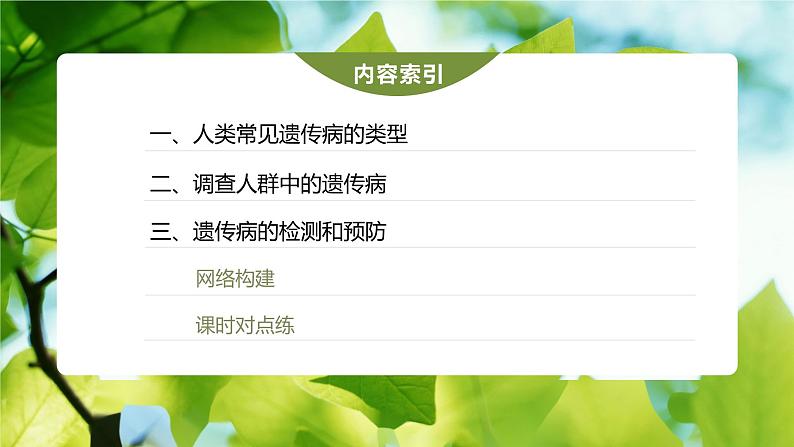 第5章 第3节 人类遗传病第4页