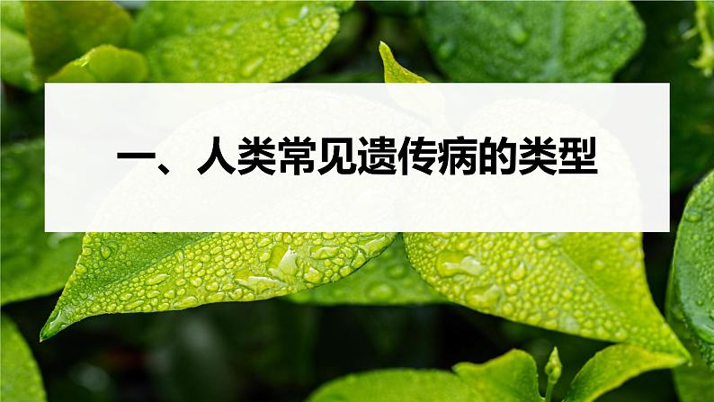 第5章 第3节 人类遗传病第5页