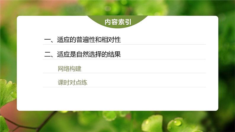 第6章 第2节 自然选择与适应的形成第4页