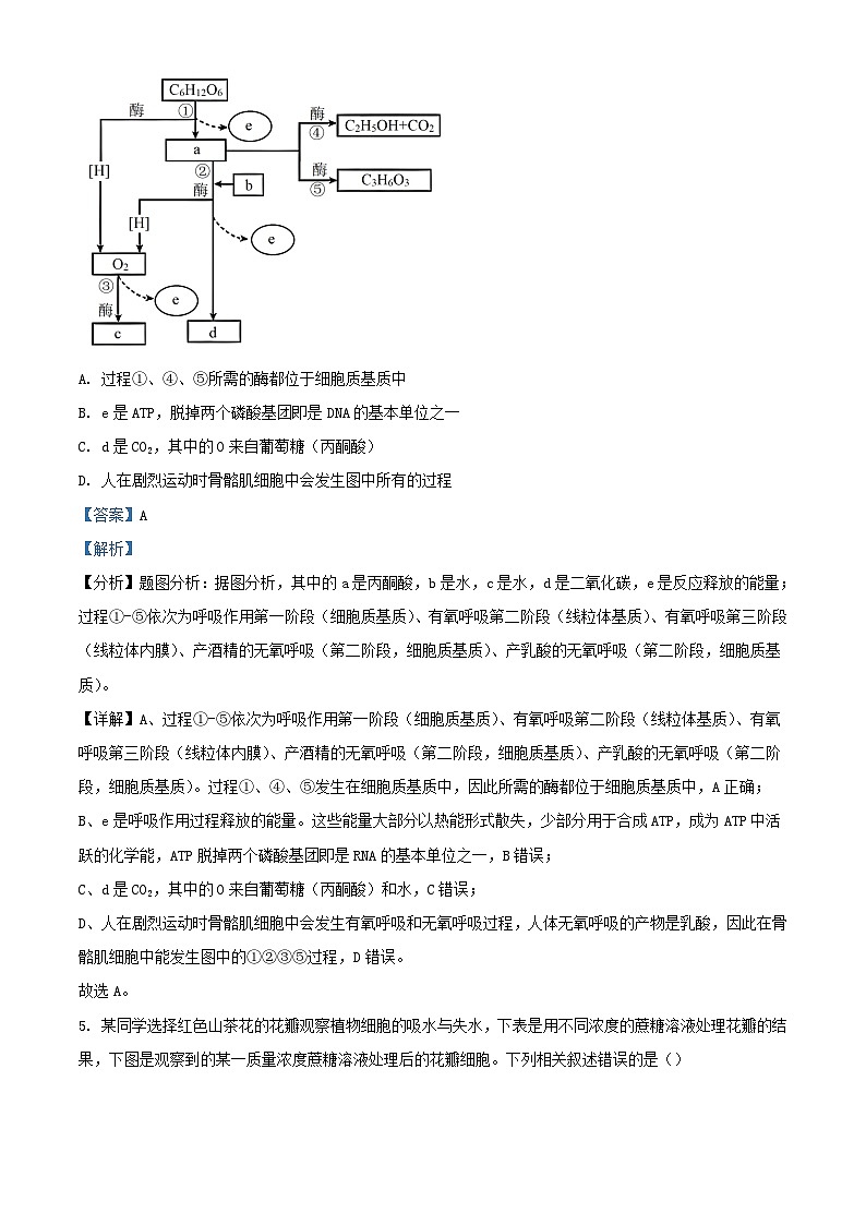 湖南省2023_2024学年高三生物上学期10月期中试题含解析03