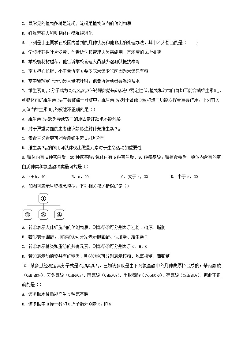 湖北省2023_2024学年高一生物上学期10月月考试题含解析02