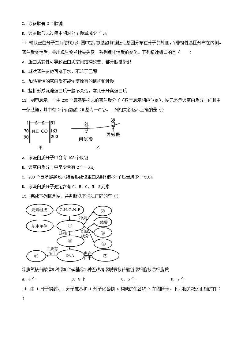 湖北省2023_2024学年高一生物上学期10月月考试题含解析03