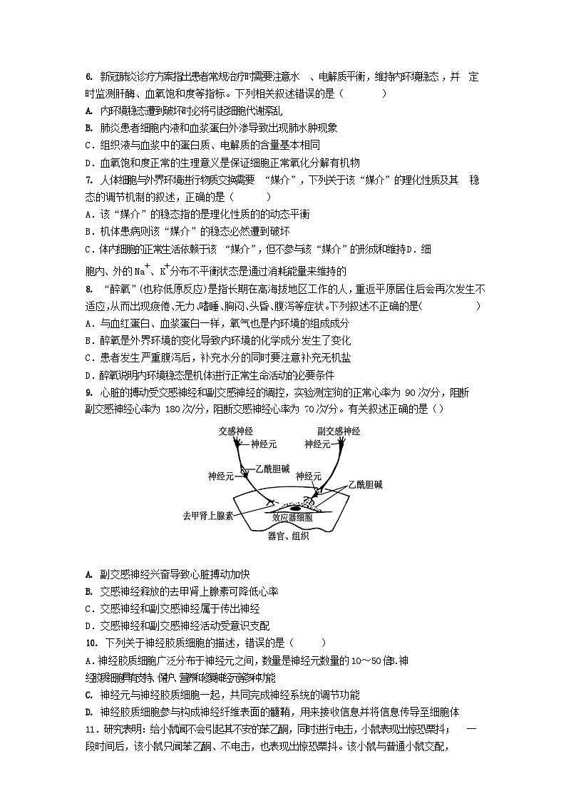 湖北省武汉市2023_2024学年高二生物上学期10月月考试题第2页