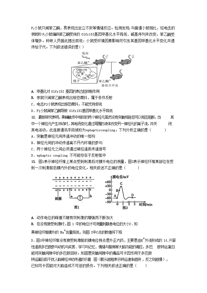 湖北省武汉市2023_2024学年高二生物上学期10月月考试题第3页