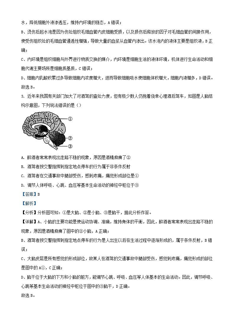广东省广州市2023_2024学年高二生物上学期10月月考试题含解析第2页