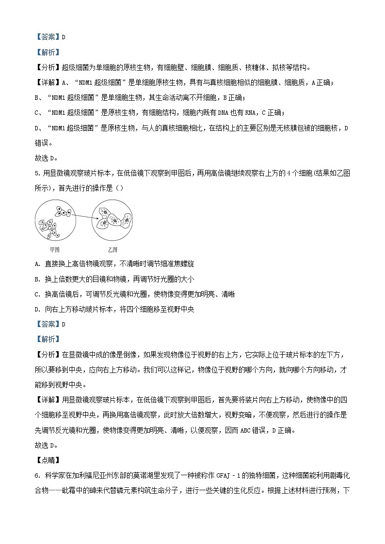 湖北省重点高中联盟2023_2024学年高一生物上学期10月联考试题含解析第3页