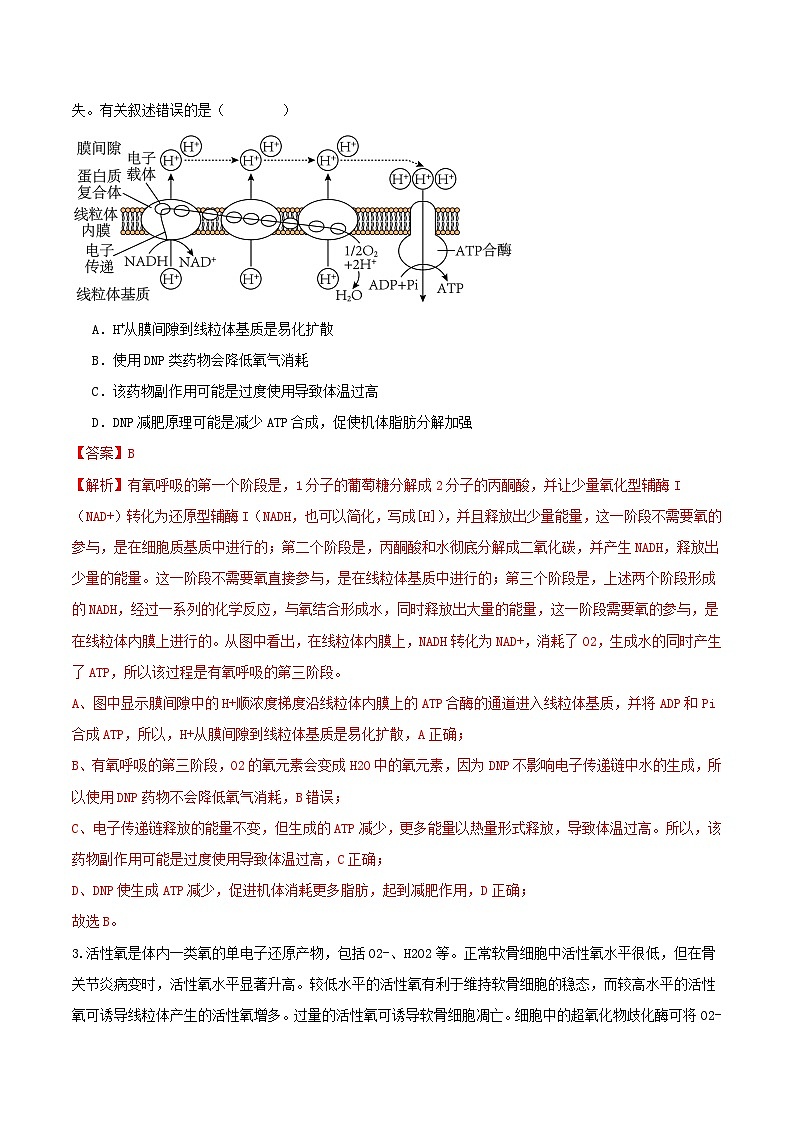 浙江专用2023_2024学年高二生物上学期期中模拟考试含解析第2页