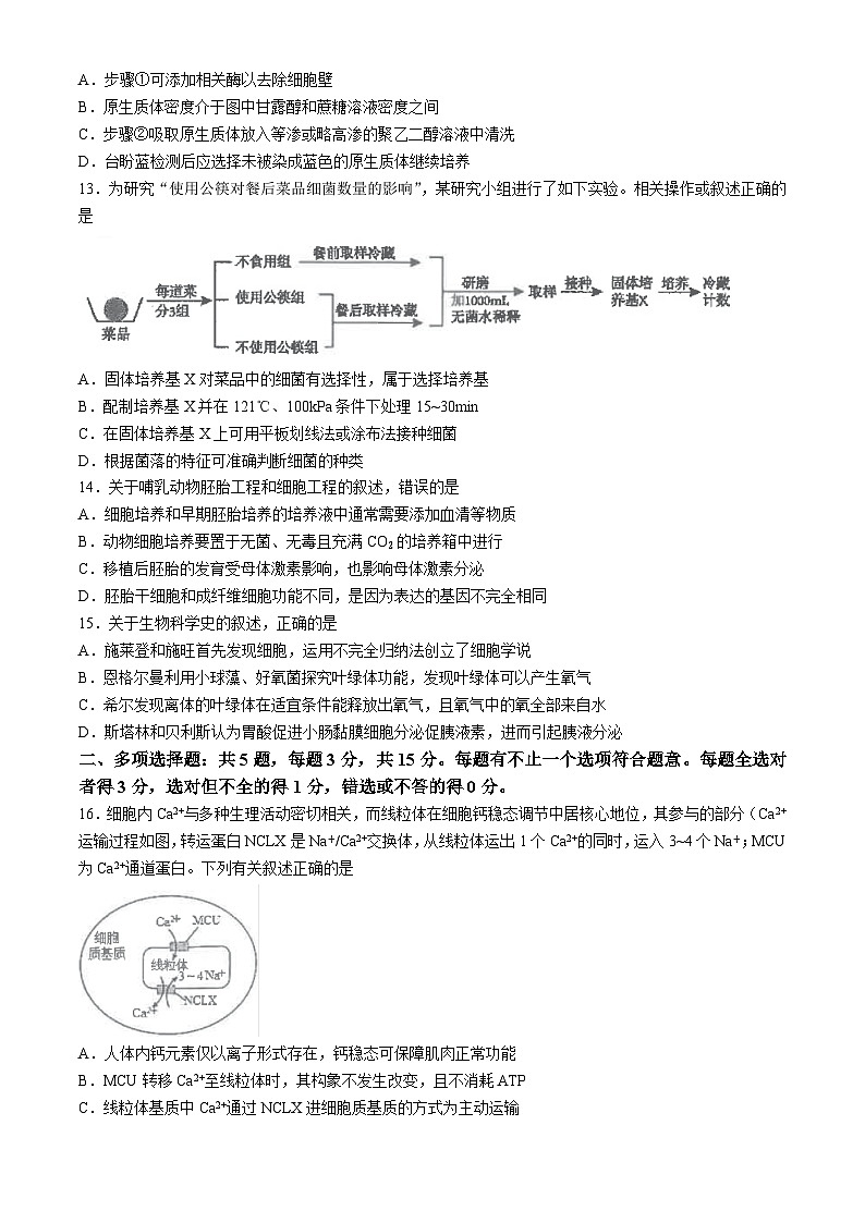 2025江苏省海安高级中学高三上学期10月月考试题生物含答案03