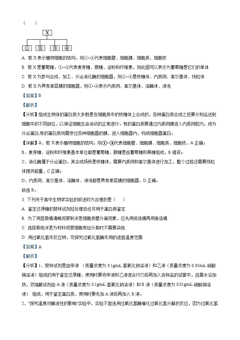 江苏省盐城市五校联考2024-2025学年高三上学期10月月考生物试题含解析第2页