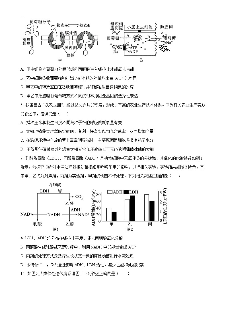 江苏省盐城市五校联考2024-2025学年高三上学期10月月考生物试题无答案第3页