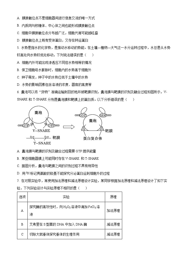 2025信阳高三上学期一模生物试卷含解析02