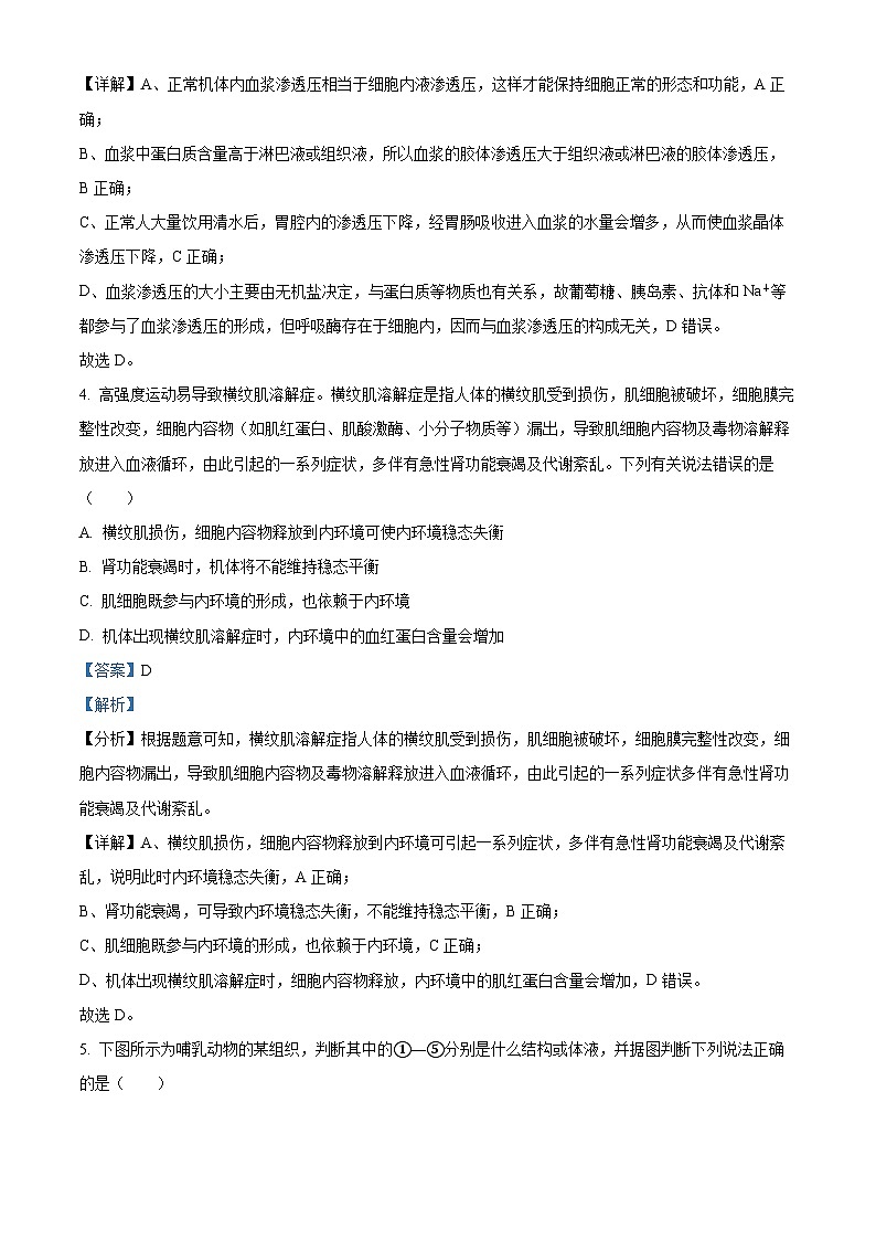 安徽省亳州市第一中学2024-2025学年高二上学期10月月考生物试题  Word版含解析第3页