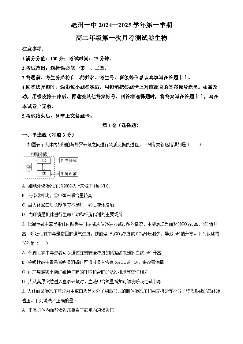 安徽省亳州市第一中学2024-2025学年高二上学期10月月考生物试题  Word版无答案第1页