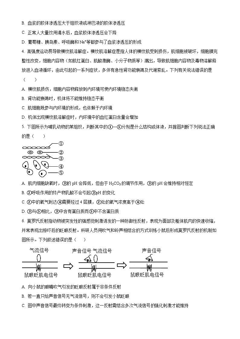 安徽省亳州市第一中学2024-2025学年高二上学期10月月考生物试题  Word版无答案第2页