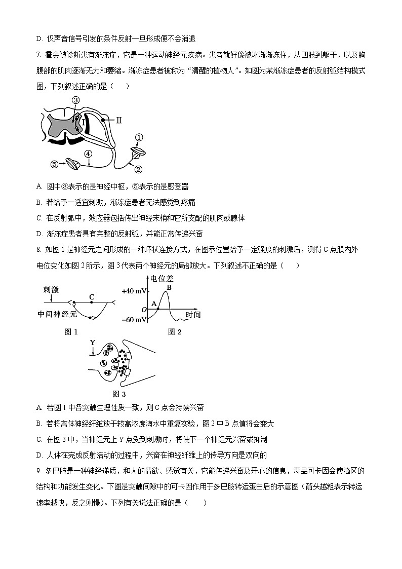 安徽省亳州市第一中学2024-2025学年高二上学期10月月考生物试题  Word版无答案第3页