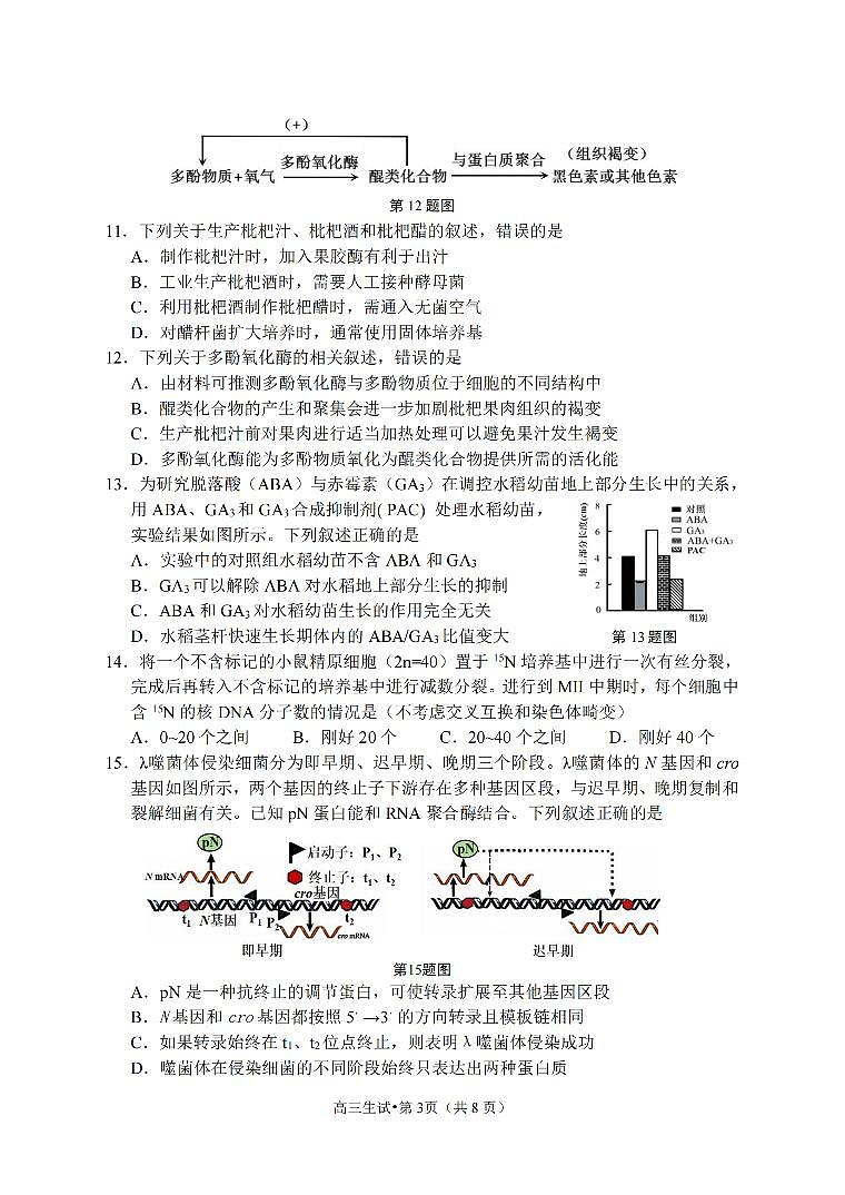 浙江省杭州市2024-2025学年高三上学期期中教学质量检测生物试卷(PDF版附答案)03
