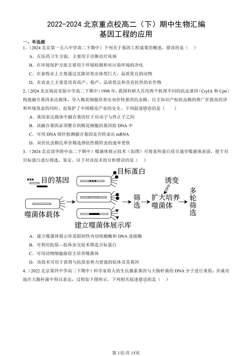 2022-2024北京重点校高二（下）期中真题生物汇编：基因工程的应用