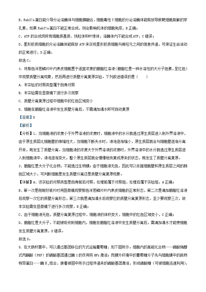 山西省部分学校2023_2024学年高三生物上学期10月月考试题含解析03