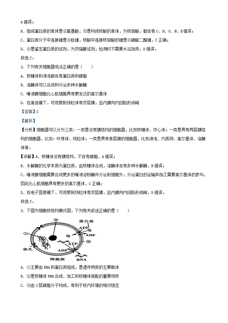 浙江省杭州市四校联考2023_2024学年高二生物上学期10月月考试题含解析第2页