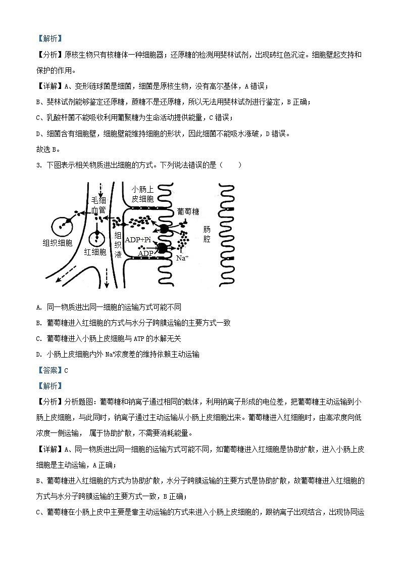 湖南省常德市2023_2024学年高二生物上学期入学考试试题含解析第2页