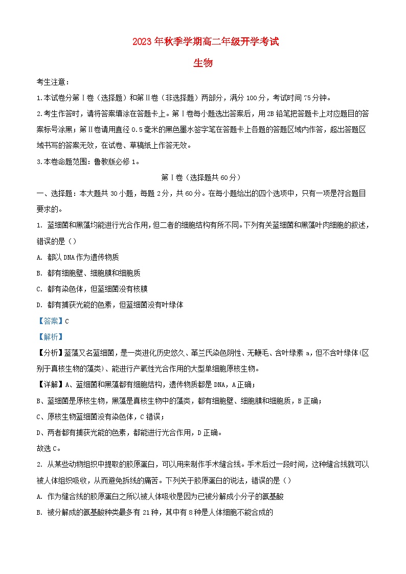 云南省红河州开远市2023_2024学年高二生物上学期开学考试试题含解析