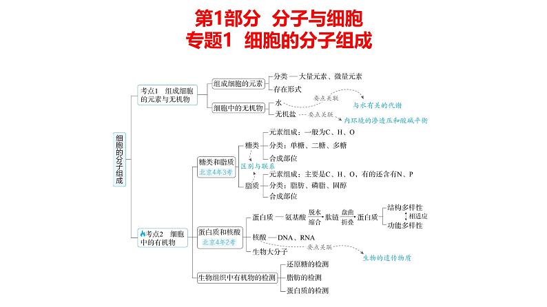 高考生物二轮复习讲解课件:专题1 细胞的分子组成第1页