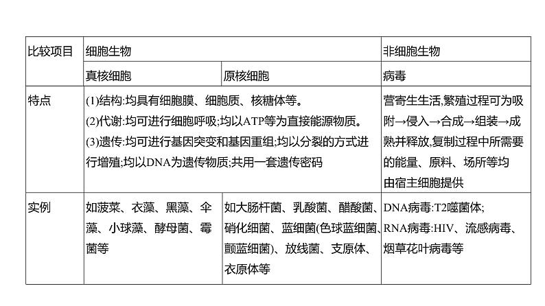 高考生物二轮复习讲解课件:专题2 细胞的结构与功能第4页
