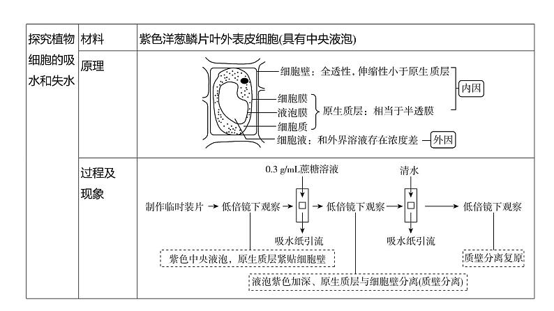 高考生物二轮复习讲解课件:专题3 细胞的物质输入和输出第4页
