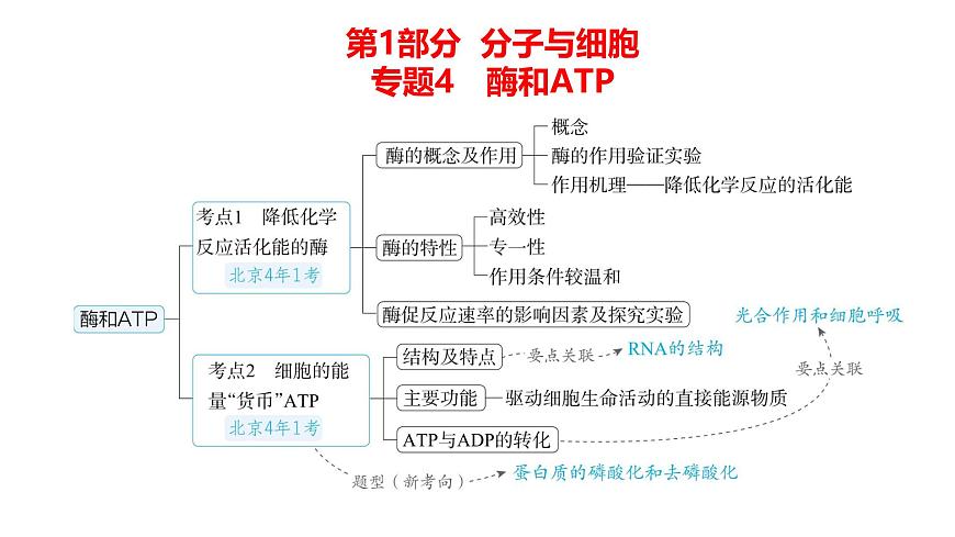 高考生物二輪復習講解課件:專題4 酶和ATP第1頁