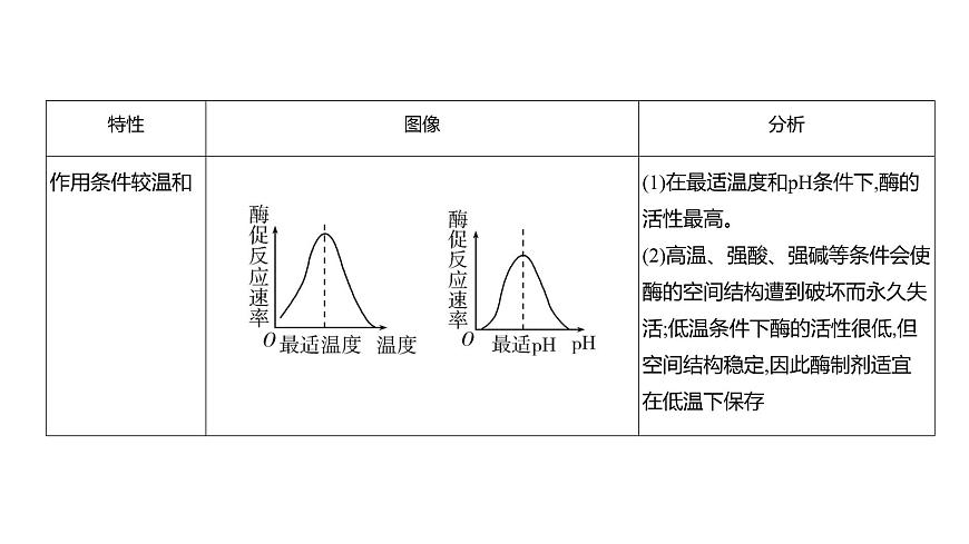 高考生物二輪復習講解課件:專題4 酶和ATP第5頁