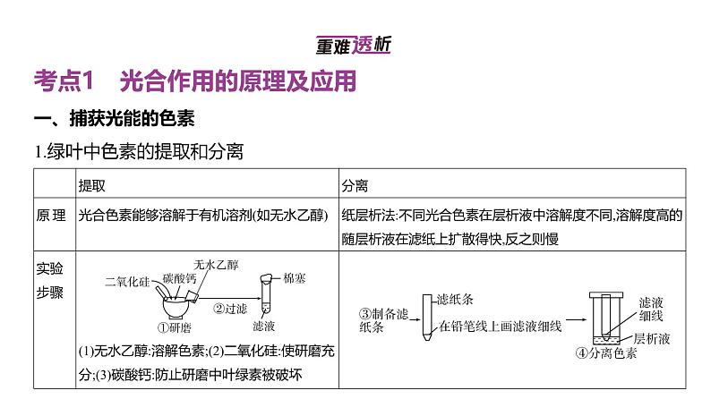 高考生物二轮复习讲解课件:专题6 光合作用第2页