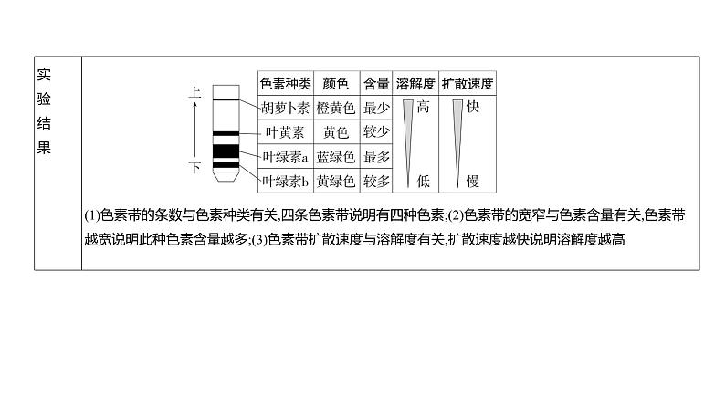 高考生物二轮复习讲解课件:专题6 光合作用第3页