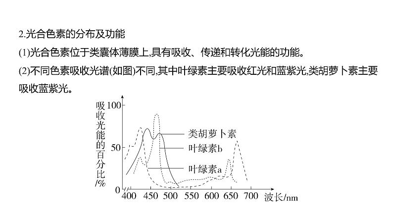 高考生物二轮复习讲解课件:专题6 光合作用第4页