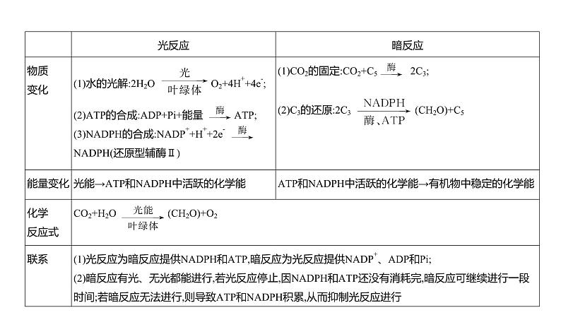 高考生物二轮复习讲解课件:专题6 光合作用第7页