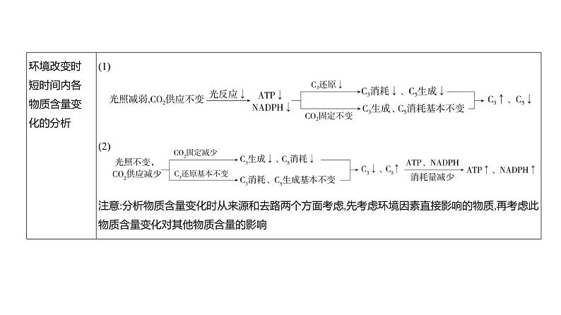 高考生物二轮复习讲解课件:专题6 光合作用第8页