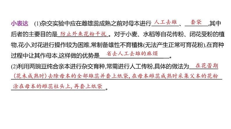 高考生物二轮复习讲解课件:专题8 分离定律和自由组合定律第3页