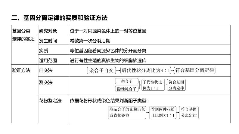 高考生物二轮复习讲解课件:专题8 分离定律和自由组合定律第4页