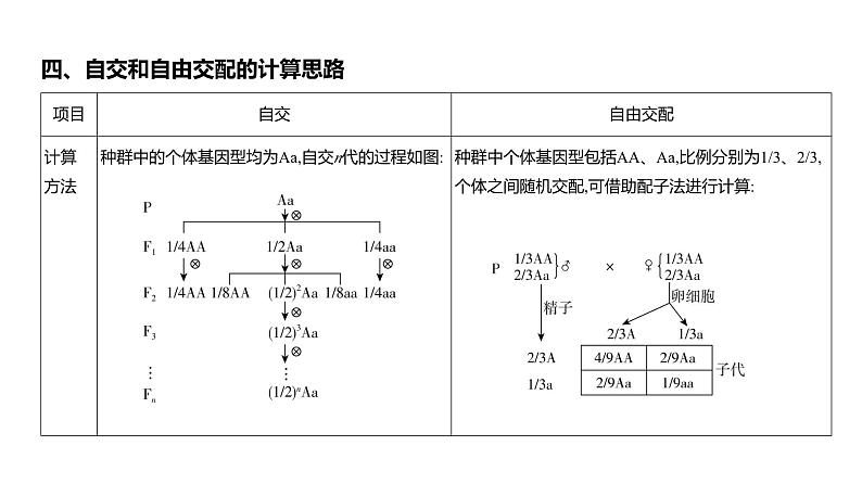 高考生物二轮复习讲解课件:专题8 分离定律和自由组合定律第7页